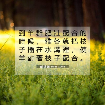 Picture 07 - 創 世 記 30:41 CUVT - 到 羊 群 肥 壯 配 合 的 時 候 ， 雅 - Bible Verse Picture