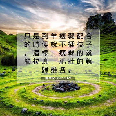 Picture 07 - 創 世 記 30:42 CUVT - 只 是 到 羊 瘦 弱 配 合 的 時 候 就 - Bible Verse Picture