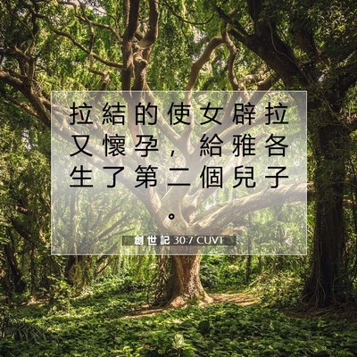 Picture 07 - 創 世 記 30:7 CUVT - 拉 結 的 使 女 辟 拉 又 懷 孕 ， 給 - Bible Verse Picture