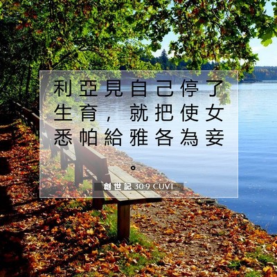 Picture 07 - 創 世 記 30:9 CUVT - 利 亞 見 自 己 停 了 生 育 ， 就 把 - Bible Verse Picture