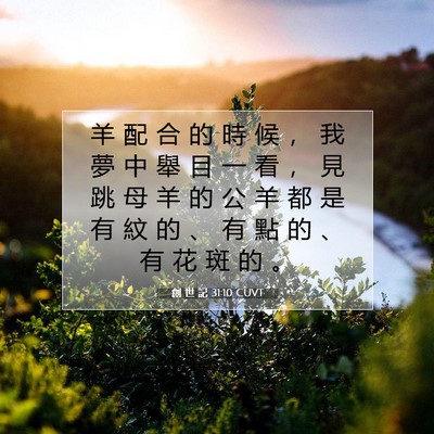 Picture 07 - 創 世 記 31:10 CUVT - 羊 配 合 的 時 候 ， 我 夢 中 舉 目 - Bible Verse Picture