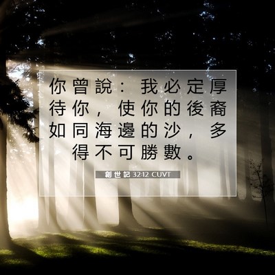Picture 07 - 創 世 記 32:12 CUVT - 你 曾 說 ： 我 必 定 厚 待 你 ， 使 - Bible Verse Picture