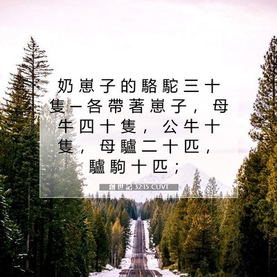 Picture 07 - 創 世 記 32:15 CUVT - 奶 崽 子 的 駱 駝 三 十 隻 ─ 各 帶 - Bible Verse Picture