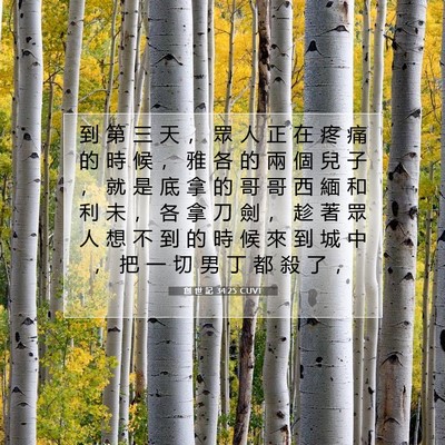 Picture 07 - 創 世 記 34:25 CUVT - 到 第 三 天 ， 眾 人 正 在 疼 痛 的 - Bible Verse Picture