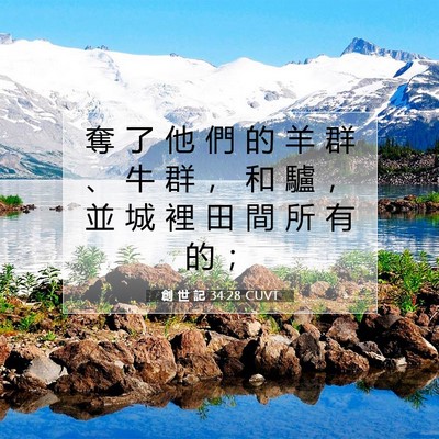 Picture 07 - 創 世 記 34:28 CUVT - 奪 了 他 們 的 羊 群 、 牛 群 ， 和 - Bible Verse Picture