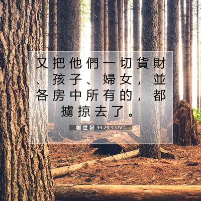 Picture 07 - 創 世 記 34:29 CUVT - 又 把 他 們 一 切 貨 財 、 孩 子 、 - Bible Verse Picture