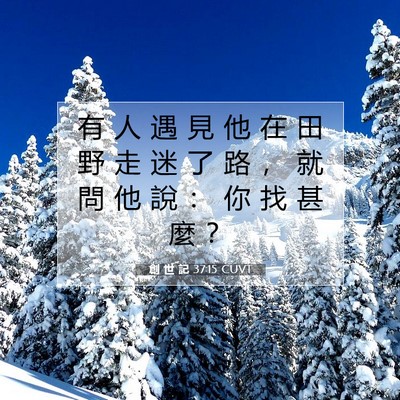Picture 07 - 創 世 記 37:15 CUVT - 有 人 遇 見 他 在 田 野 走 迷 了 路 - Bible Verse Picture