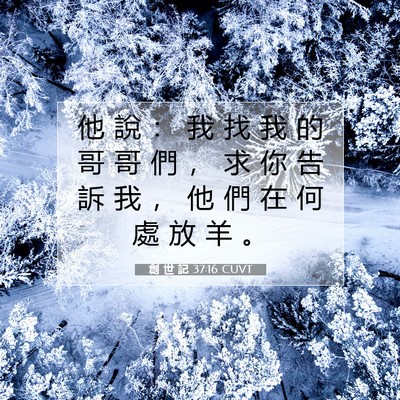 Picture 07 - 創 世 記 37:16 CUVT - 他 說 ： 我 找 我 的 哥 哥 們 ， 求 - Bible Verse Picture