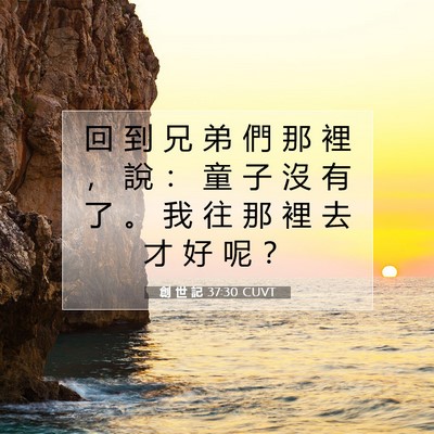 Picture 07 - 創 世 記 37:30 CUVT - 回 到 兄 弟 們 那 裡 ， 說 ： 童 子 - Bible Verse Picture