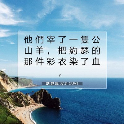 Picture 07 - 創 世 記 37:31 CUVT - 他 們 宰 了 一 隻 公 山 羊 ， 把 約 - Bible Verse Picture