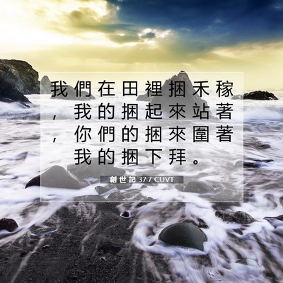 Picture 07 - 創 世 記 37:7 CUVT - 我 們 在 田 裡 捆 禾 稼 ， 我 的 捆 - Bible Verse Picture