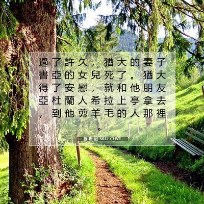 Picture 07 - 創 世 記 38:12 CUVT - 過 了 許 久 ， 猶 大 的 妻 子 書 亞 - Bible Verse Picture