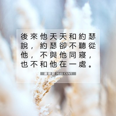 Picture 07 - 創 世 記 39:10 CUVT - 後 來 他 天 天 和 約 瑟 說 ， 約 瑟 - Bible Verse Picture