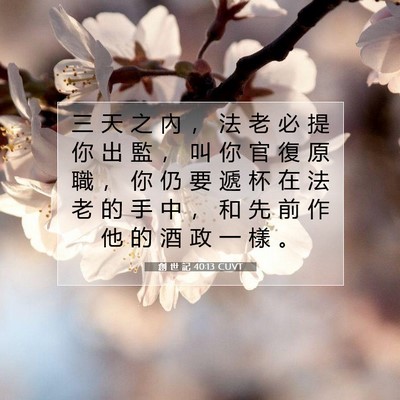 Picture 07 - 創 世 記 40:13 CUVT - 三 天 之 內 ， 法 老 必 提 你 出 監 - Bible Verse Picture