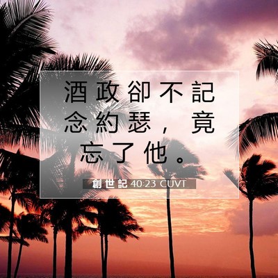 Picture 07 - 創 世 記 40:23 CUVT - 酒 政 卻 不 記 念 約 瑟 ， 竟 忘 了 - Bible Verse Picture
