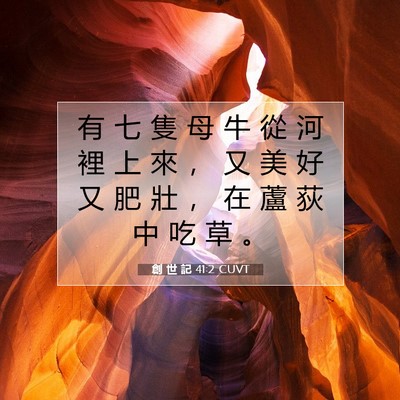 Picture 07 - 創 世 記 41:2 CUVT - 有 七 隻 母 牛 從 河 裡 上 來 ， 又 - Bible Verse Picture