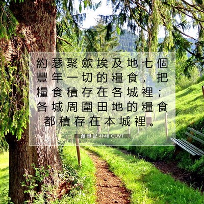 Picture 07 - 創 世 記 41:48 CUVT - 約 瑟 聚 歛 埃 及 地 七 個 豐 年 一 - Bible Verse Picture