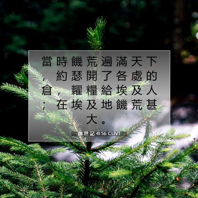 Picture 07 - 創 世 記 41:56 CUVT - 當 時 饑 荒 遍 滿 天 下 ， 約 瑟 開 - Bible Verse Picture