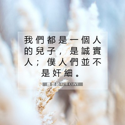 Picture 07 - 創 世 記 42:11 CUVT - 我 們 都 是 一 個 人 的 兒 子 ， 是 - Bible Verse Picture