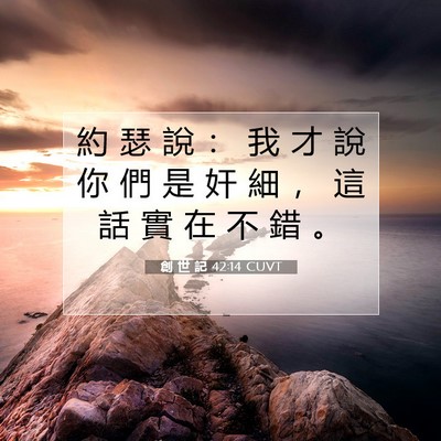 Picture 07 - 創 世 記 42:14 CUVT - 約 瑟 說 ： 我 才 說 你 們 是 奸 細 - Bible Verse Picture