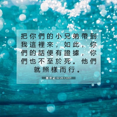 Picture 07 - 創 世 記 42:20 CUVT - 把 你 們 的 小 兄 弟 帶 到 我 這 裡 - Bible Verse Picture
