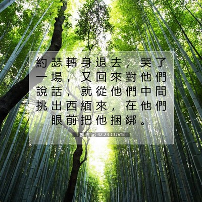 Picture 07 - 創 世 記 42:24 CUVT - 約 瑟 轉 身 退 去 ， 哭 了 一 場 ， - Bible Verse Picture