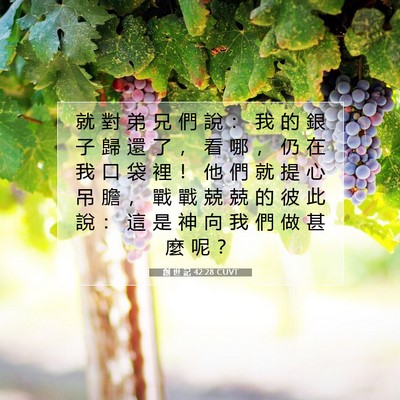 Picture 07 - 創 世 記 42:28 CUVT - 就 對 弟 兄 們 說 ： 我 的 銀 子 歸 - Bible Verse Picture