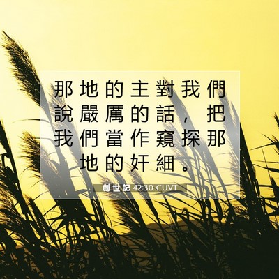 Picture 07 - 創 世 記 42:30 CUVT - 那 地 的 主 對 我 們 說 嚴 厲 的 話 - Bible Verse Picture