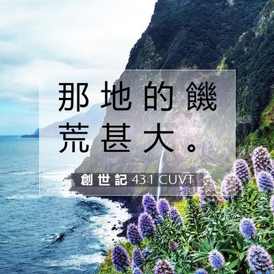 Picture 07 - 創 世 記 43:1 CUVT - 那 地 的 饑 荒 甚 大 - Bible Verse Picture
