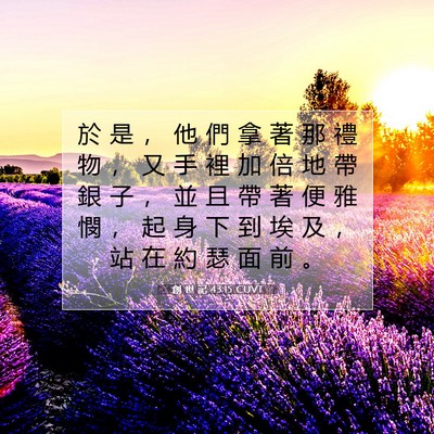 Picture 07 - 創 世 記 43:15 CUVT - 於 是 ， 他 們 拿 著 那 禮 物 ， 又 - Bible Verse Picture