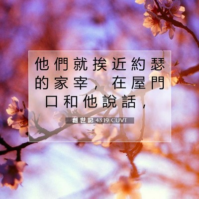 Picture 07 - 創 世 記 43:19 CUVT - 他 們 就 挨 近 約 瑟 的 家 宰 ， 在 - Bible Verse Picture