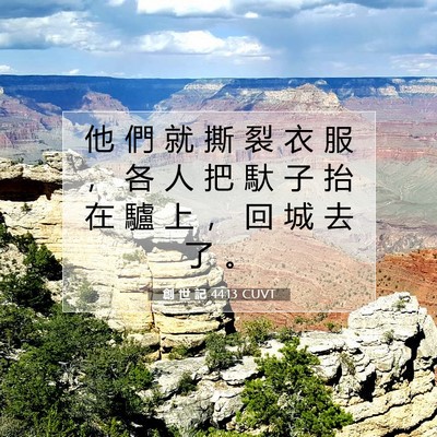 Picture 07 - 創 世 記 44:13 CUVT - 他 們 就 撕 裂 衣 服 ， 各 人 把 馱 - Bible Verse Picture