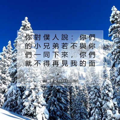 Picture 07 - 創 世 記 44:23 CUVT - 你 對 僕 人 說 ： 你 們 的 小 兄 弟 - Bible Verse Picture