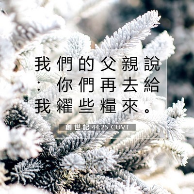 Picture 07 - 創 世 記 44:25 CUVT - 我 們 的 父 親 說 ： 你 們 再 去 給 - Bible Verse Picture