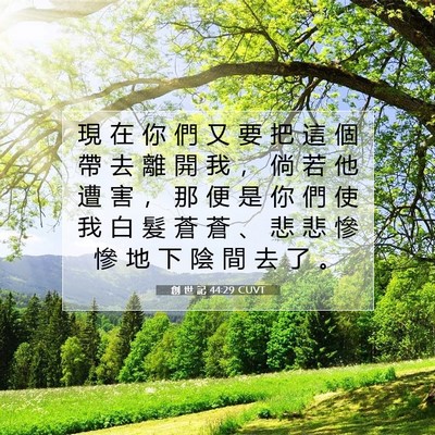 Picture 07 - 創 世 記 44:29 CUVT - 現 在 你 們 又 要 把 這 個 帶 去 離 - Bible Verse Picture