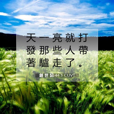 Picture 07 - 創 世 記 44:3 CUVT - 天 一 亮 就 打 發 那 些 人 帶 著 驢 - Bible Verse Picture