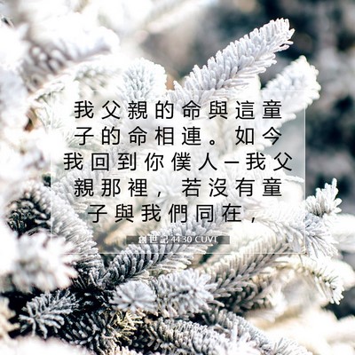 Picture 07 - 創 世 記 44:30 CUVT - 我 父 親 的 命 與 這 童 子 的 命 相 - Bible Verse Picture