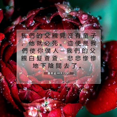 Picture 07 - 創 世 記 44:31 CUVT - 我 們 的 父 親 見 沒 有 童 子 ， 他 - Bible Verse Picture
