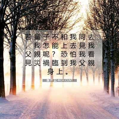 Picture 07 - 創 世 記 44:34 CUVT - 若 童 子 不 和 我 同 去 ， 我 怎 能 - Bible Verse Picture