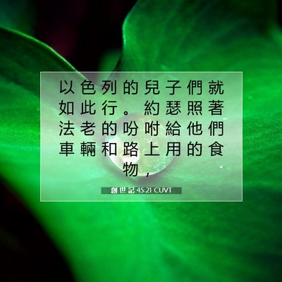 Picture 07 - 創 世 記 45:21 CUVT - 以 色 列 的 兒 子 們 就 如 此 行 。 - Bible Verse Picture