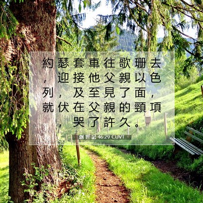 Picture 07 - 創 世 記 46:29 CUVT - 約 瑟 套 車 往 歌 珊 去 ， 迎 接 他 - Bible Verse Picture