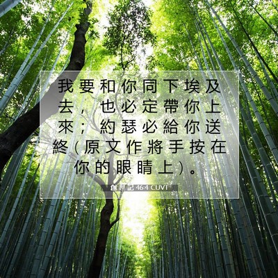 Picture 07 - 創 世 記 46:4 CUVT - 我 要 和 你 同 下 埃 及 去 ， 也 必 - Bible Verse Picture