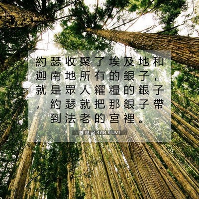 Picture 07 - 創 世 記 47:14 CUVT - 約 瑟 收 聚 了 埃 及 地 和 迦 南 地 - Bible Verse Picture