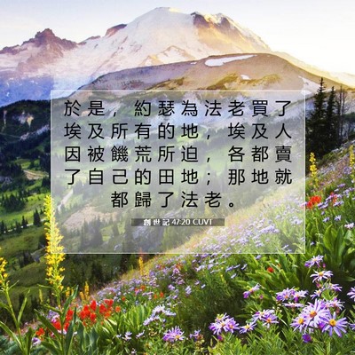 Picture 07 - 創 世 記 47:20 CUVT - 於 是 ， 約 瑟 為 法 老 買 了 埃 及 - Bible Verse Picture
