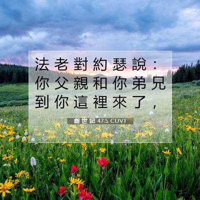 Picture 07 - 創 世 記 47:5 CUVT - 法 老 對 約 瑟 說 ： 你 父 親 和 你 - Bible Verse Picture