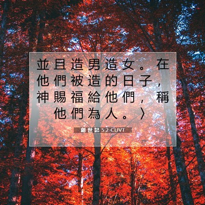 Picture 07 - 創 世 記 5:2 CUVT - 並 且 造 男 造 女 。 在 他 們 被 造 - Bible Verse Picture