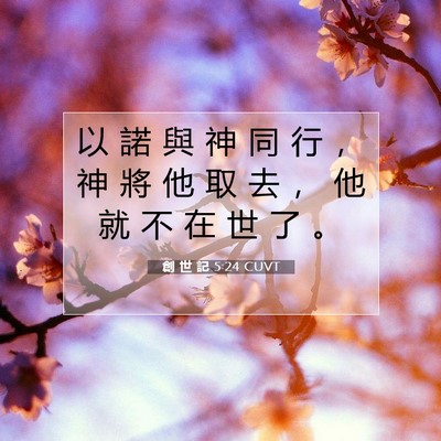 Picture 07 - 創 世 記 5:24 CUVT - 以 諾 與 神 同 行 ， 神 將 他 取 去 - Bible Verse Picture