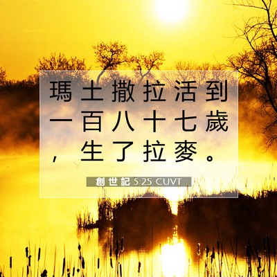 Picture 07 - 創 世 記 5:25 CUVT - 瑪 土 撒 拉 活 到 一 百 八 十 七 歲 - Bible Verse Picture