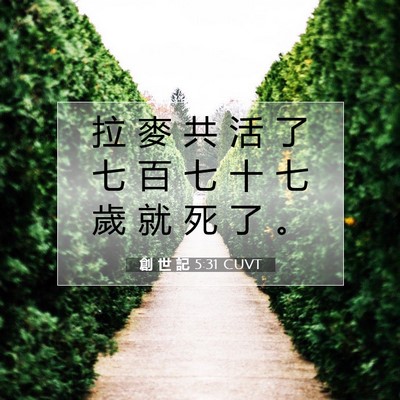 Picture 07 - 創 世 記 5:31 CUVT - 拉 麥 共 活 了 七 百 七 十 七 歲 就 - Bible Verse Picture