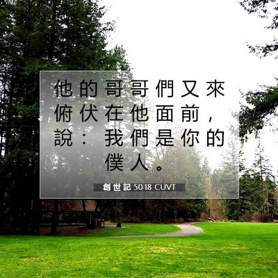 Picture 07 - 創 世 記 50:18 CUVT - 他 的 哥 哥 們 又 來 俯 伏 在 他 面 - Bible Verse Picture